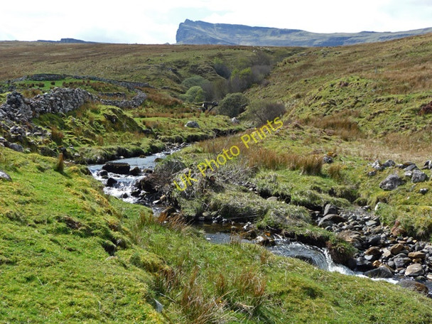 Photo 6"x4" Rigg Burn Rigg\/NG5156 c2009