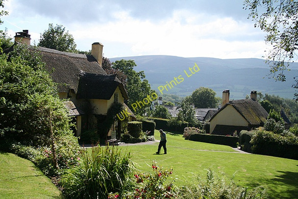 Photo 6"x4" Selworthy: Selworthy Green Holnicote c2007