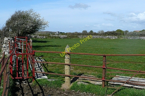 Photo 6"x4" Ballynamanagh West Kilcolgan c2009