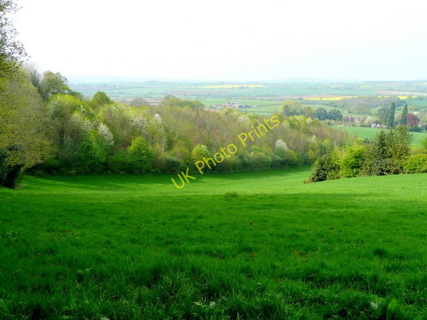 Photo 6"x4" Edge of Penyard Park Wood Ross-on-Wye c2009