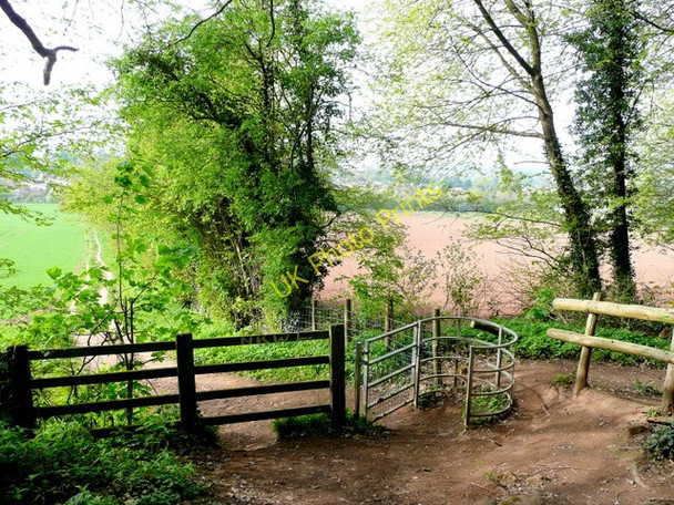 Photo 6"x4" Footpath entrance to Merrivale Wood Ross-on-Wye c2009