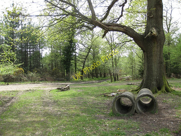 Photo 6"x4" Culvert pipes in forest clearing Cinderford c2009