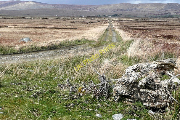 Photo 6"x4" Cnoc Sheanadh Mhacha (Knockshannavagh) Costelloe c2009