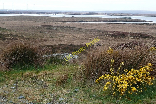 Photo 6"x4" Loch Nuala Spiddle c2009