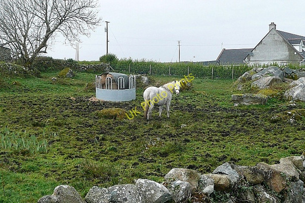 Photo 6"x4" An Cathair Spiddle c2009