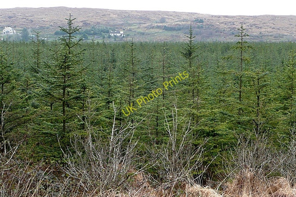 Photo 6"x4" Leitir Pe\u00c3\u00adc (Letterpeak) Spiddle c2009 P1