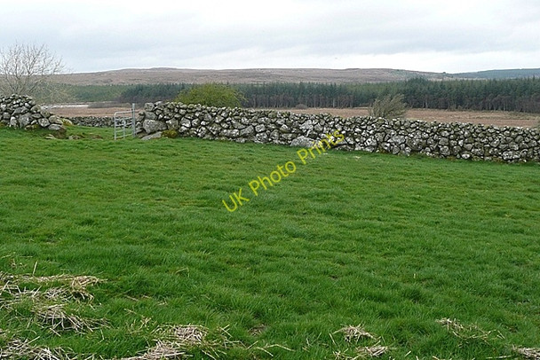Photo 6"x4" Fionasclainn (Finisklin) Moycullen c2009