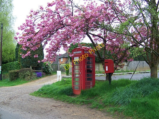 Photo 6"x4" Telephone box, Stedham Midhurst c2009