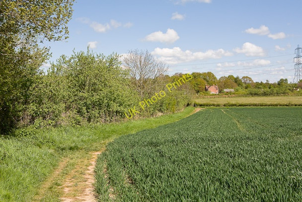 Photo 6"x4" Footpath going towards Wickham Common Crockerhill\/SU5709 c2009