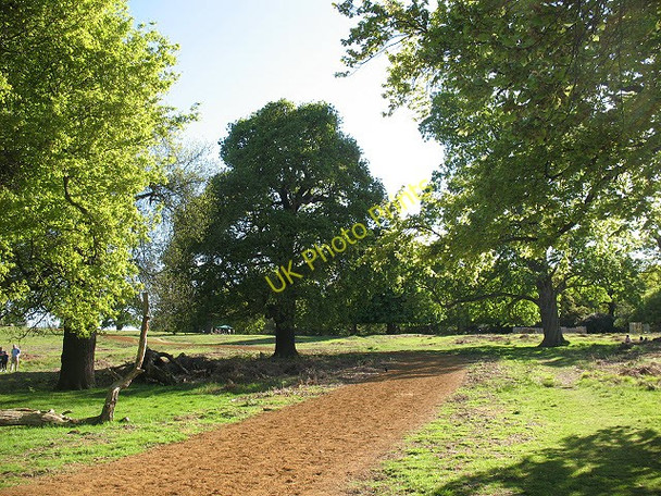 Photo 6"x4" Sandy track in Richmond Park Kingston Upon Thames c2009