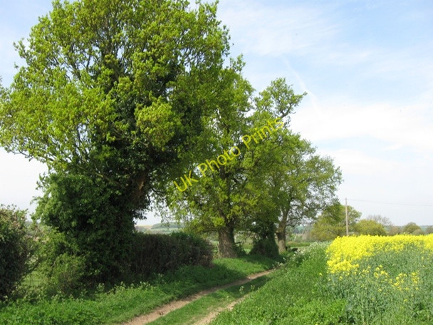 Photo 6"x4" A Bridleway near Nashes Farm, Sandridge Cooper's Green\/TL1909 c2009