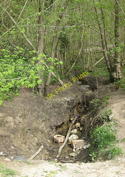 Photo 6"x4" Brook running through Haugh Wood Broadmoor Common c2009