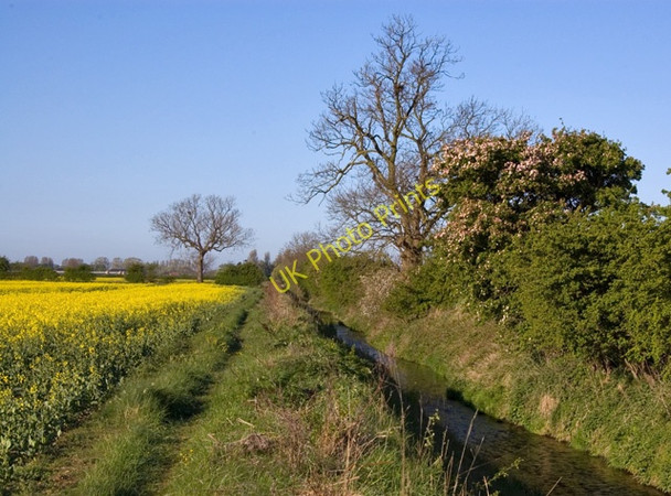 Photo 6"x4" Weighton Common footpath Market Weighton c2009