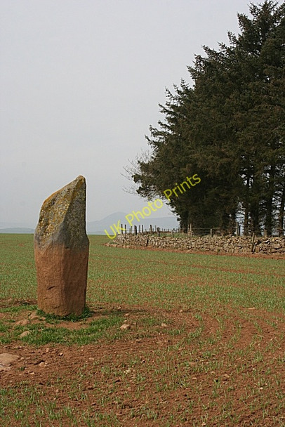 Photo 6"x4" The Ringing Stone Duncanstone c2009