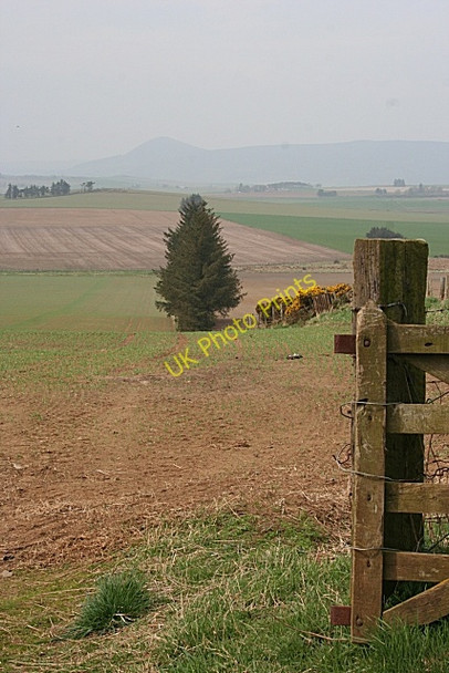 Photo 6"x4" Hill of Johnston Duncanstone c2009