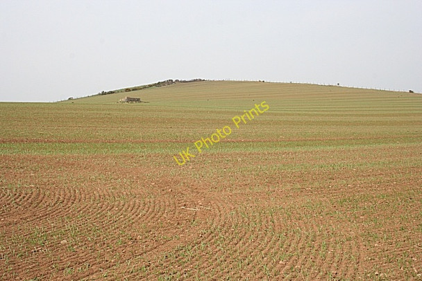 Photo 6"x4" White Hill Duncanstone c2009