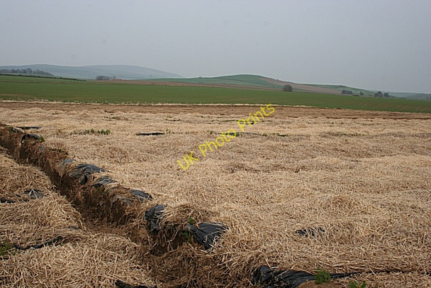 Photo 6"x4" Near Broadgate Duncanstone c2009