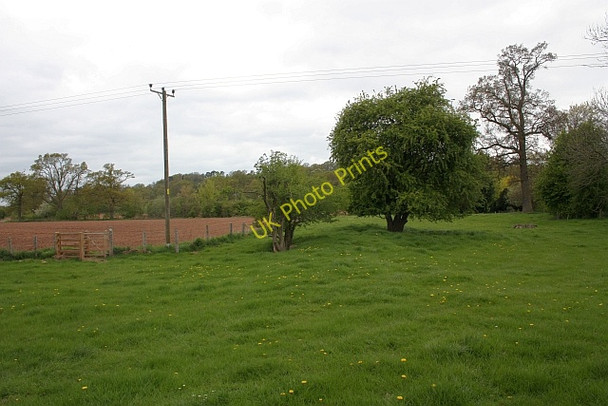 Photo 6"x4" Causeway to Homend Canon Frome c2009