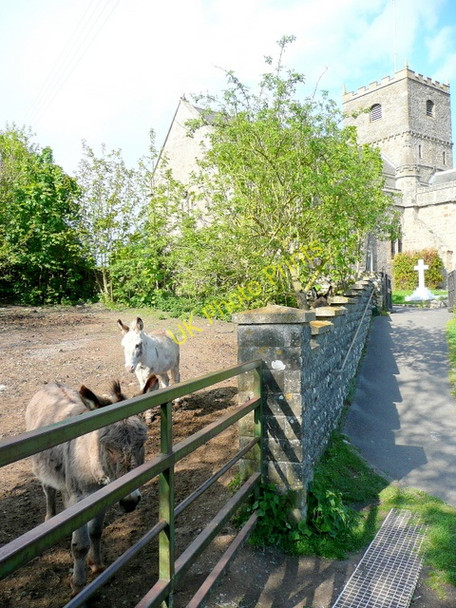 Photo 6"x4" Donkey sanctuary by St. Andrew's church Clevedon c2009