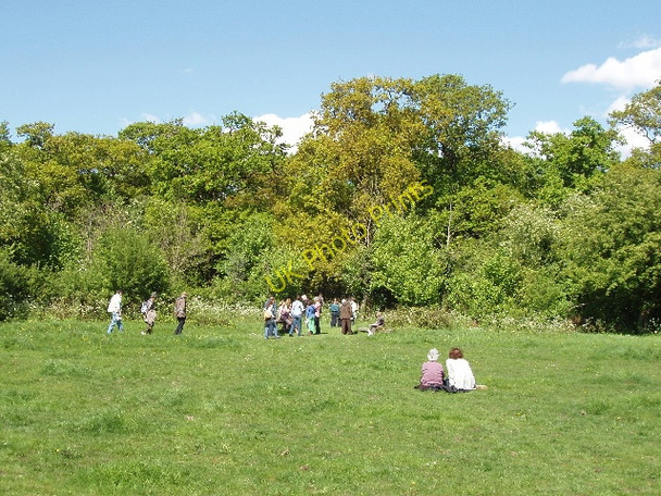 Photo 6"x4" Little Elms Meadow, Perivale Wood Greenford\/TQ1382 c2009