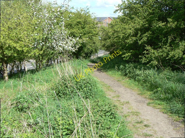 Photo 6"x4" Path onto the embankment Melton Mowbray c2009