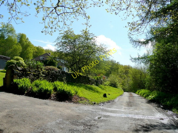 Photo 6"x4" Yartleton Lane by May Hill Lodge Dursley Cross c2009