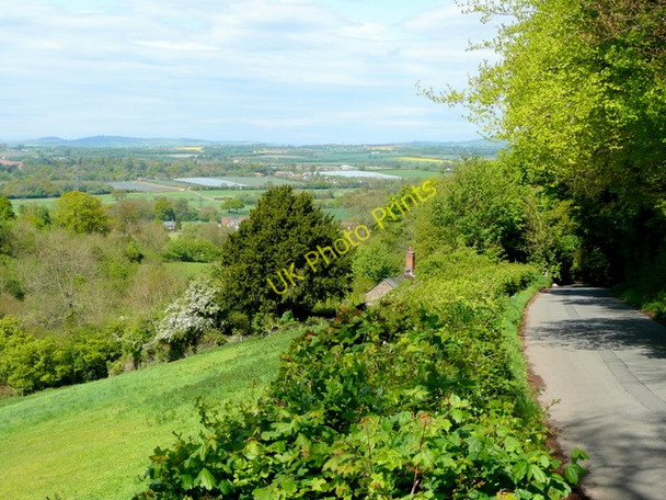 Photo 6"x4" View north from Howle Hill Bull's Hill\/SO5920 c2009