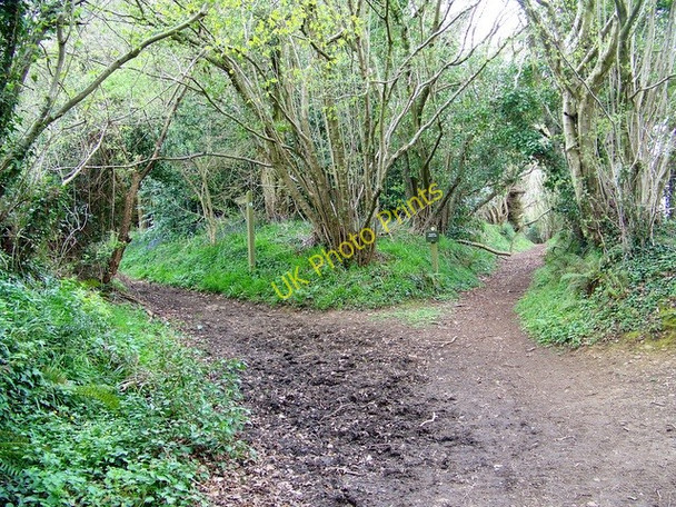 Photo 6"x4" Bridleway junction, Breamore Breamore c2009