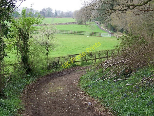 Photo 6"x4" Bridleway, Whitsbury Flood Street c2009