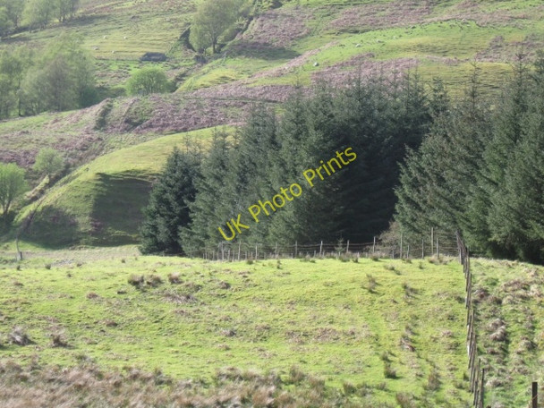 Photo 6"x4" Forest Corner: Hillside\/Heather beyond Blarmachfoldach c2009
