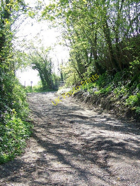 Photo 6"x4" Footpath near Old Dilton Westbury\/ST8650 c2009