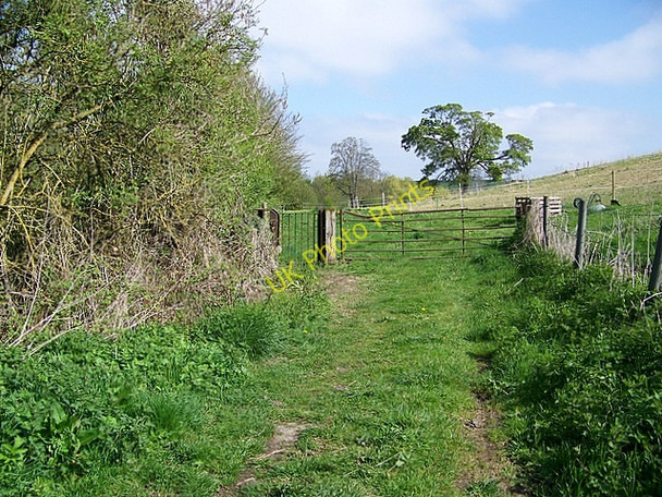 Photo 6"x4" Footpath near Old Dilton Westbury\/ST8650 c2009