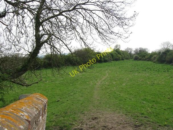 Photo 6"x4" Field to the South viewed from Bridge No 11 on the Aylesbury Arm Broughton\/SP8413 c2009