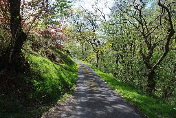 Photo 6"x4" Minor road in the Llyfnant valley Glaspwll c2009