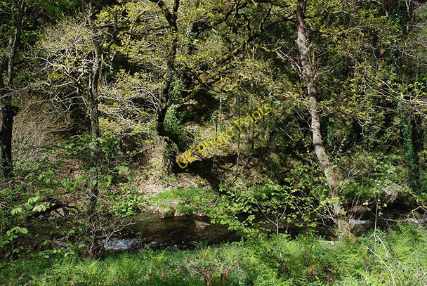 Photo 6"x4" The Llyfnant Glaspwll c2009