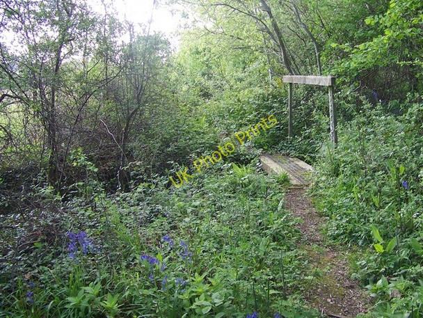 Photo 6"x4" Footbridge near Fryern Court Fordingbridge c2009