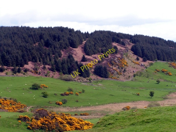 Photo 6"x4" Settlement in Hass Auchencairn\/NX7951 c2009