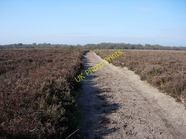 Photo 6"x4" Path across Dibden Bottom Applemore c2009