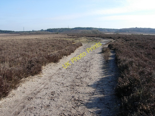Photo 6"x4" Path across Dibden Bottom Applemore c2009