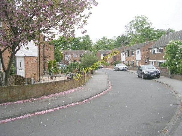 Photo 6"x4" Sunfield Drive - Sunfield Place Pudsey\/SE2233 c2009