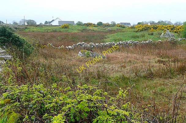 Photo 6"x4" An Lipe (Lippa) Ballynahown\/M1822 c2009