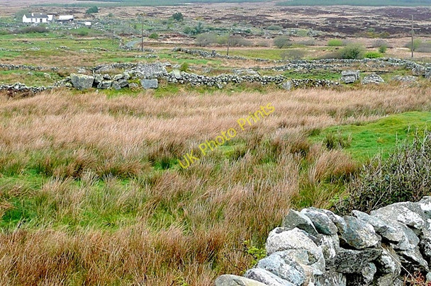 Photo 6"x4" Doire an Lochain (Derryloughaun) Ballynahown\/M1822 c2009