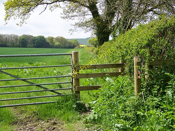 Photo 6"x4" Footpath near Rowberry Farm Ferne c2009