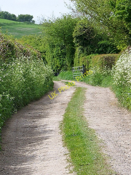 Photo 6"x4" Footpath, Charlton Lane Cann Common c2009
