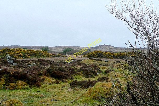 Photo 6"x4" Seanadh Fhraoch\u00c3\u00b3g (Shannafreaghoge) Ballynahown\/M1822 c2009 P1