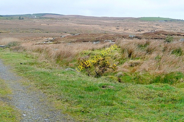 Photo 6"x4" Leitir Gungaid (Lettergunnet) Ballynahown\/M1822 c2009
