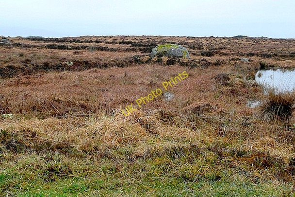 Photo 6"x4" Doire Chrith (Derrycrih) Ballynahown\/M1822 c2009