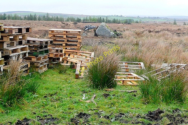 Photo 6"x4" Doire Chrith (Derrycrih) Ballynahown\/M1822 c2009