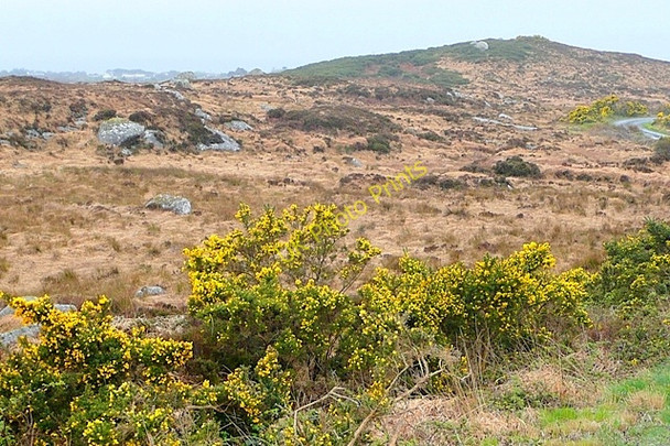 Photo 6"x4" Na Poillin\u00c3\u00ad (Polleeny) Ballynahown\/M1822 c2009