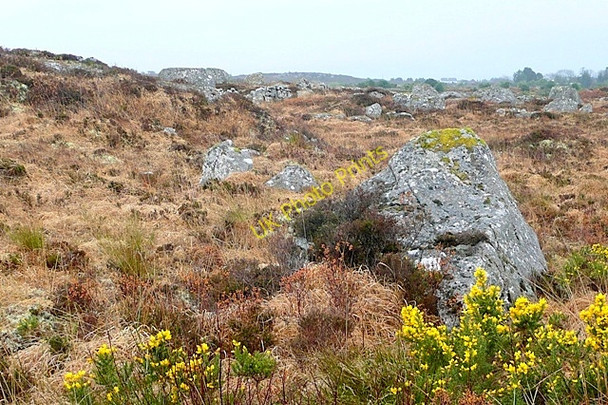 Photo 6"x4" Na Poillin\u00c3\u00ad (Polleeny) Ballynahown\/M1822 c2009